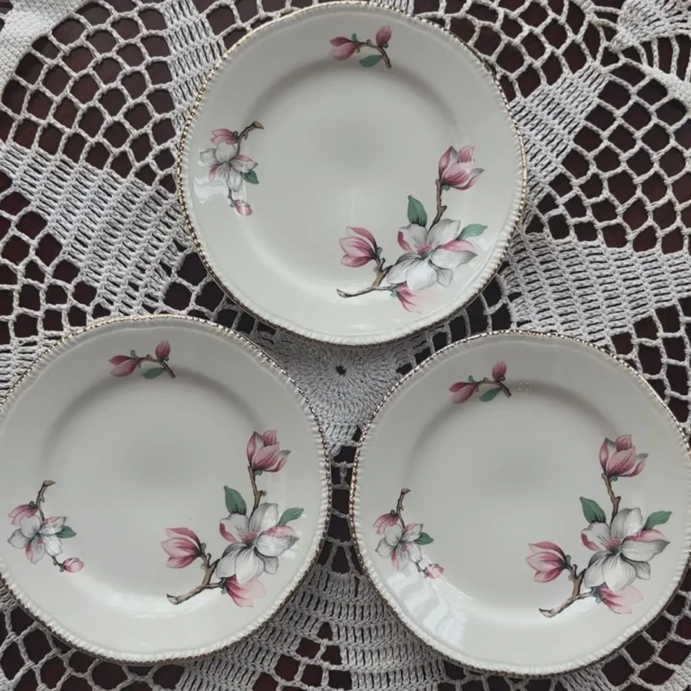 Homer Laughlin Dogwood Fine China Floral Plate Set Vintage Pink Gold Trim Pc Set